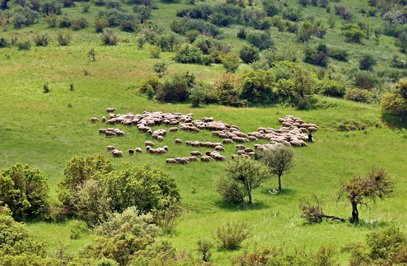 Balıkesir Tren Çalışıyor Mu?